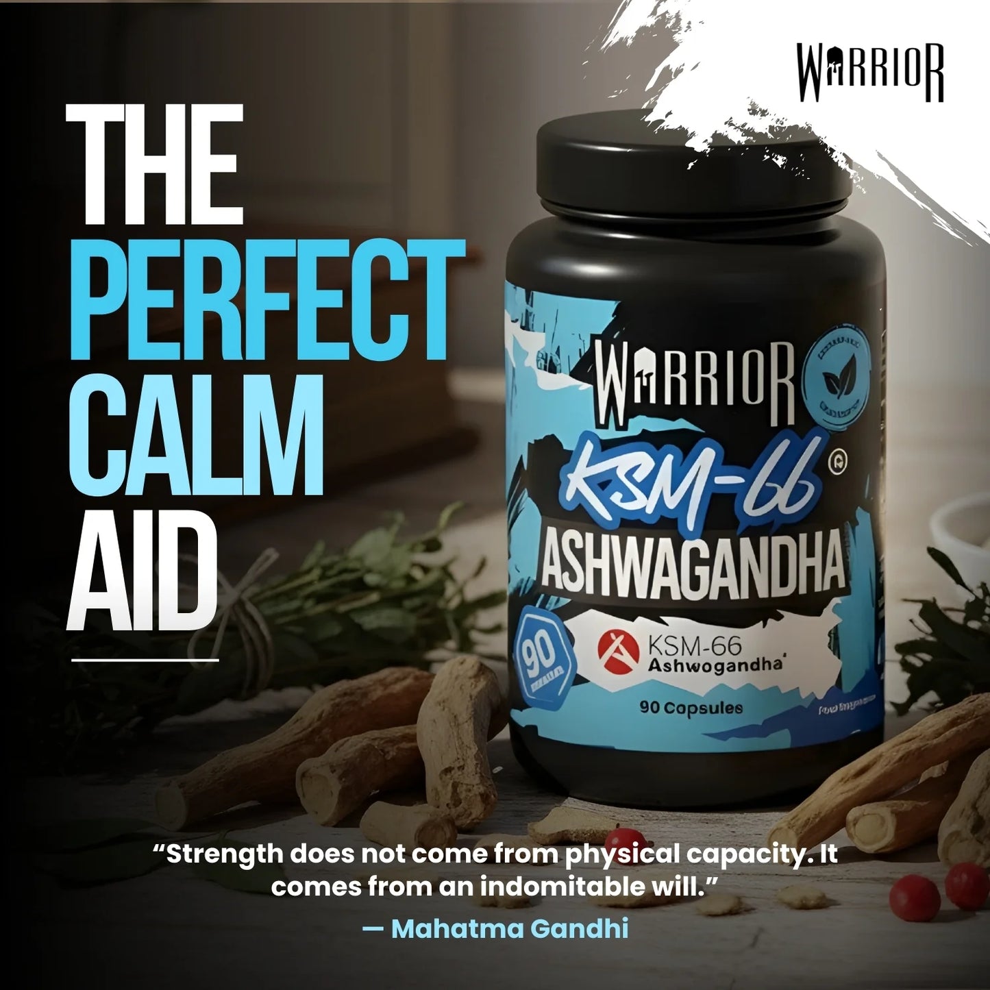 Ashwagandha - 90 Capsules